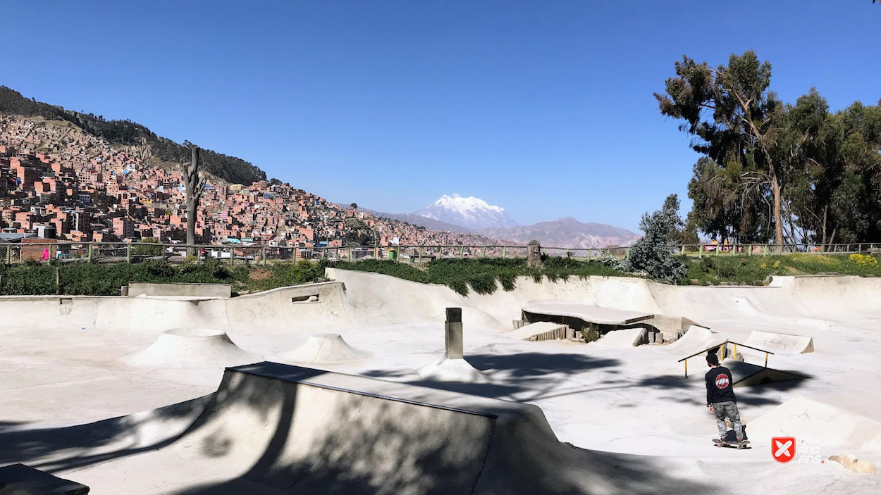 Pura Pura Skatepark